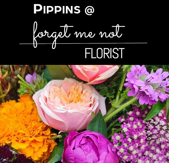 Pippins @ Forget Me Not Florist - Matamata Primary School