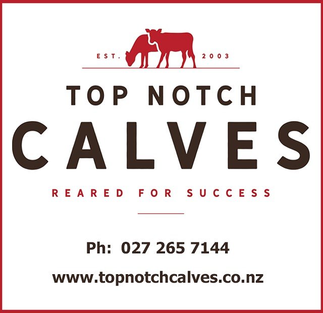 Top Notch Calves - Matamata Primary School